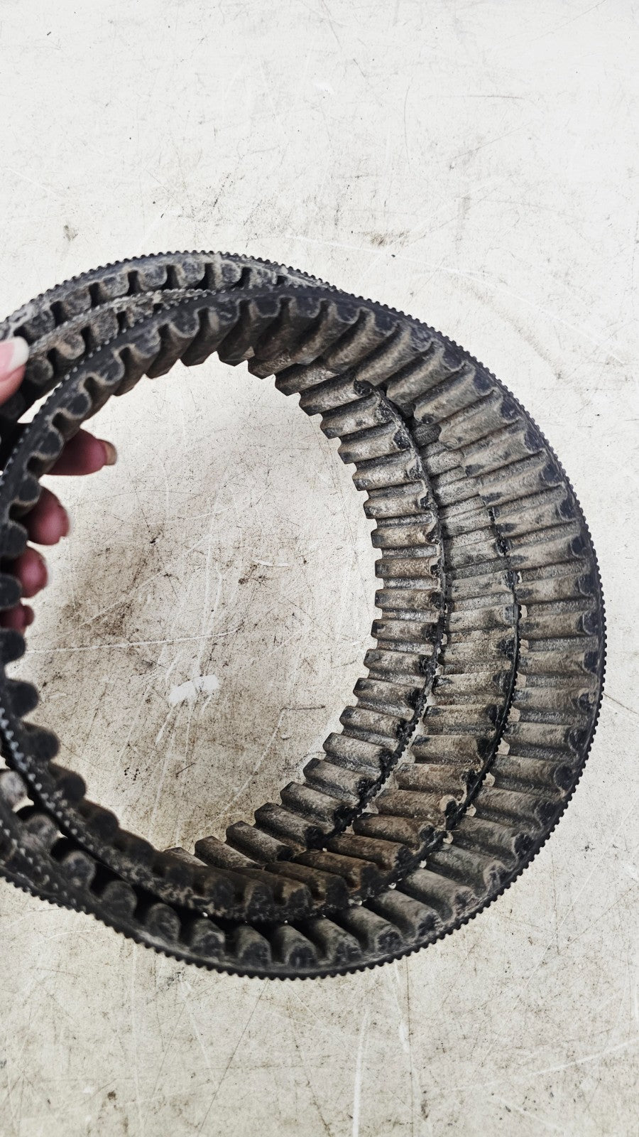 1996 HARLEY FLH ELECTRA GLIDE OEM Final Drive Belt