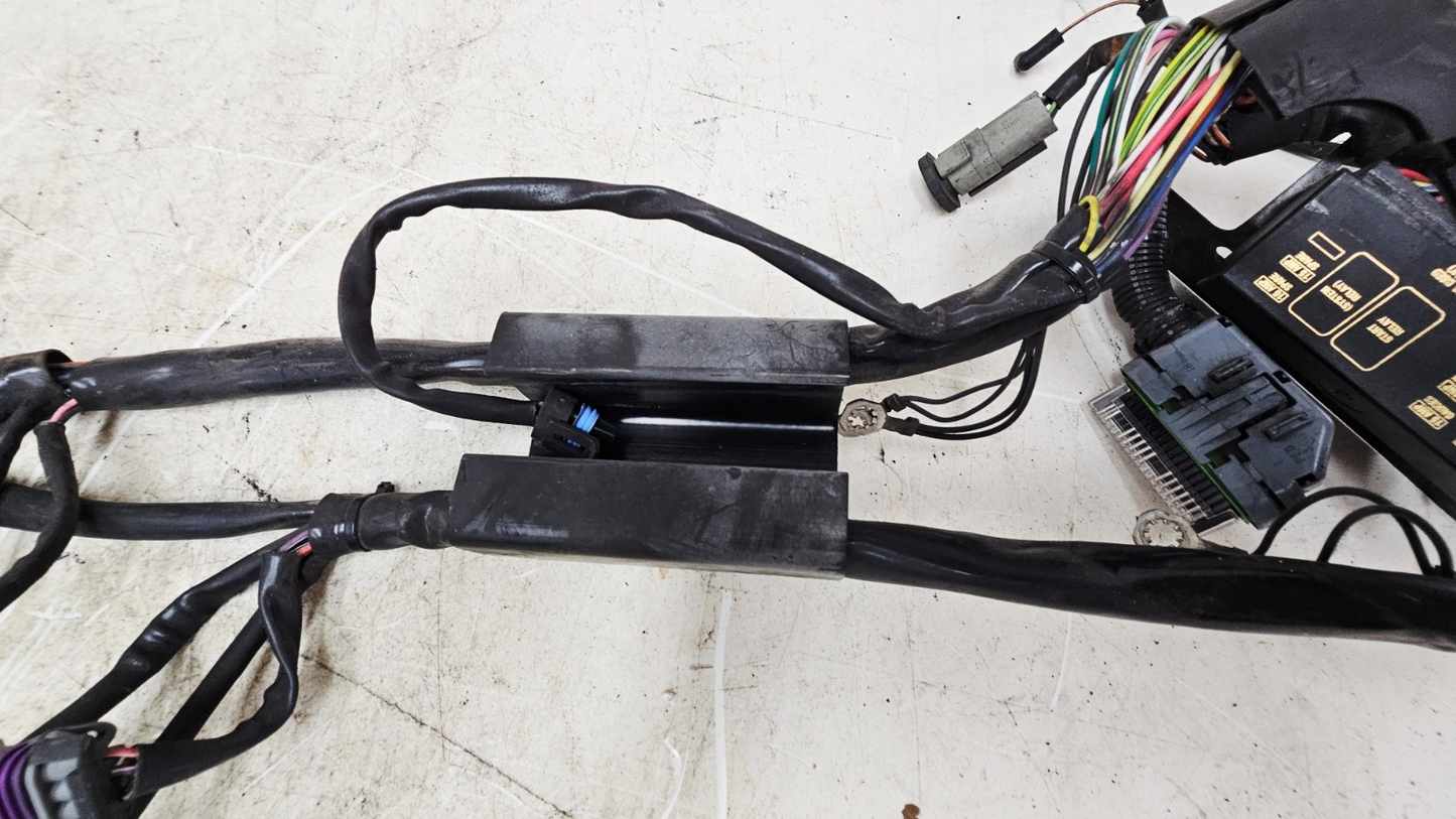 2002 HARLEY SOFTAIL Main Wire Wiring Harness Loom Fuse Box