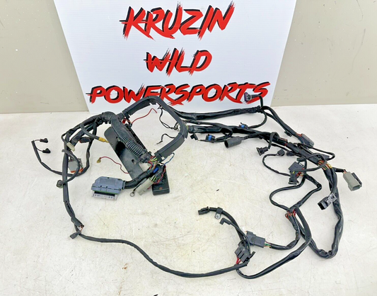 2003 HARLEY SOFTAIL EFI Main Wiring Wire Harness Loom Fuse Relay