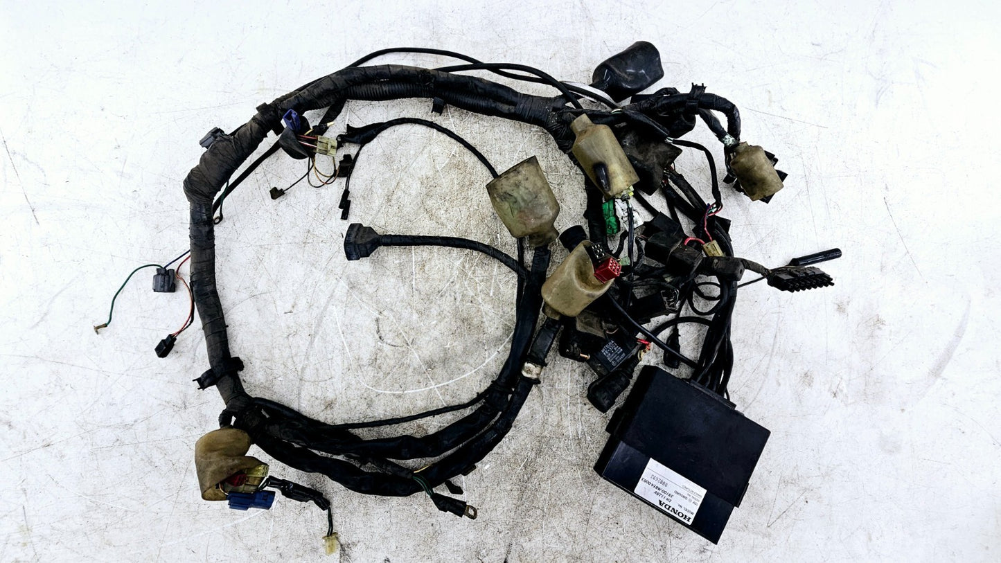 1999 HONDA VALKYRIE INTERSTATE Main Wire Wiring Harness Radio Module Unit
