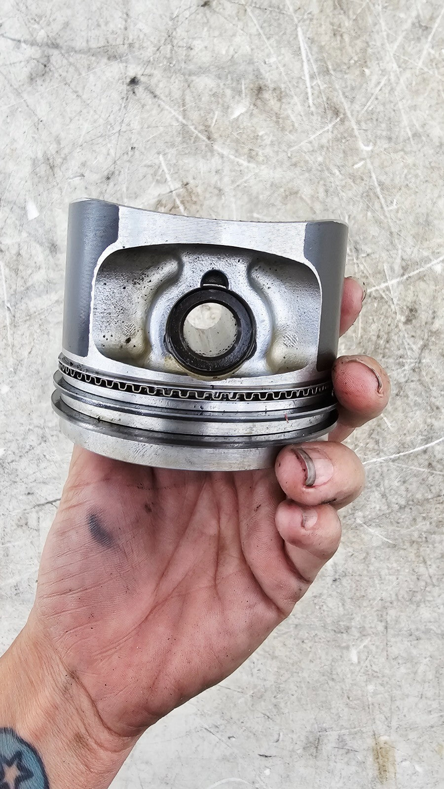 2000 Harley Davidson Sportster 883 Engine Motor Cylinders Barrels + Pistons