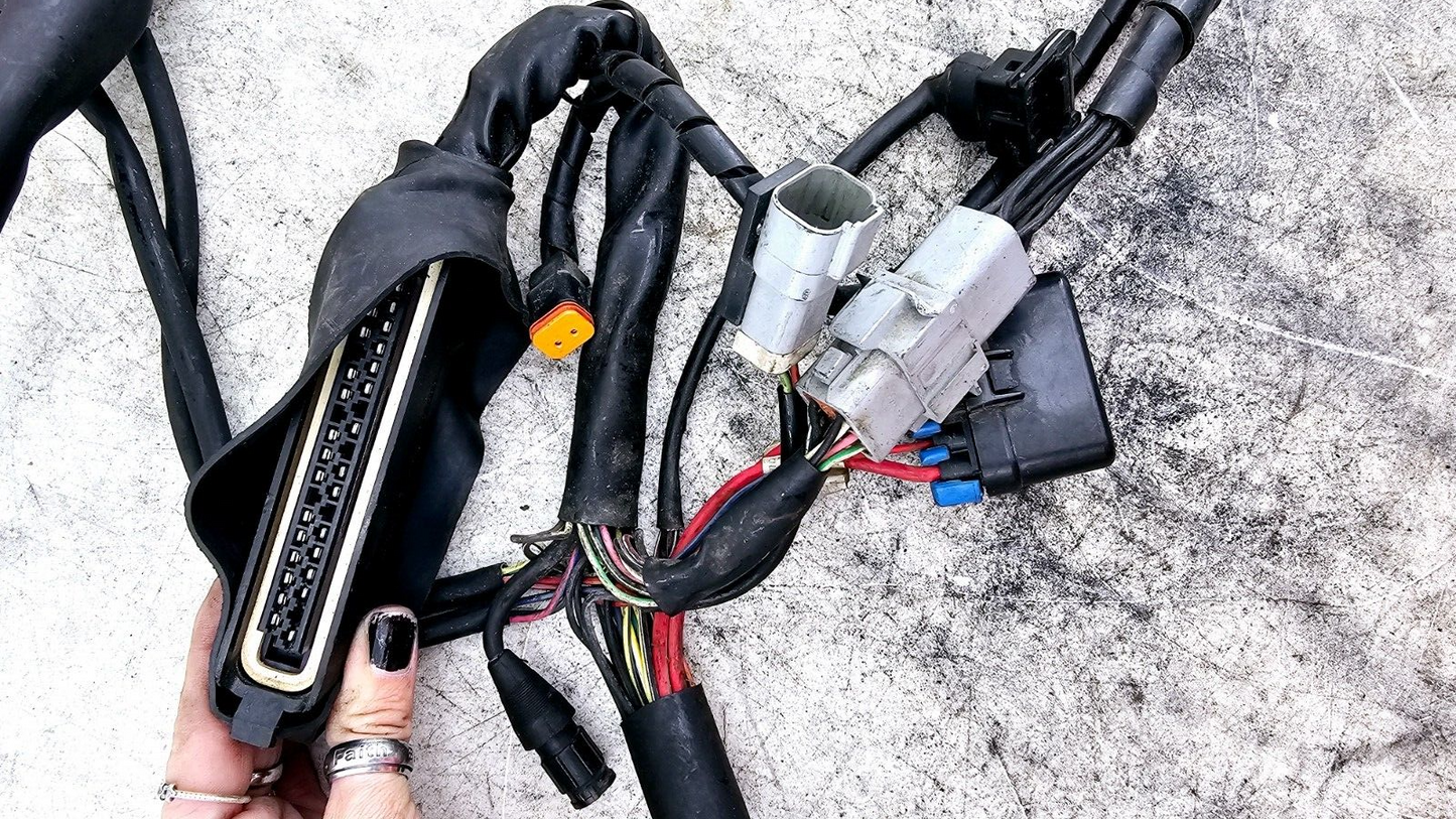 1998 HARLEY FLH ROADKING Main Wiring Wire Harness Loom Fuse Relay