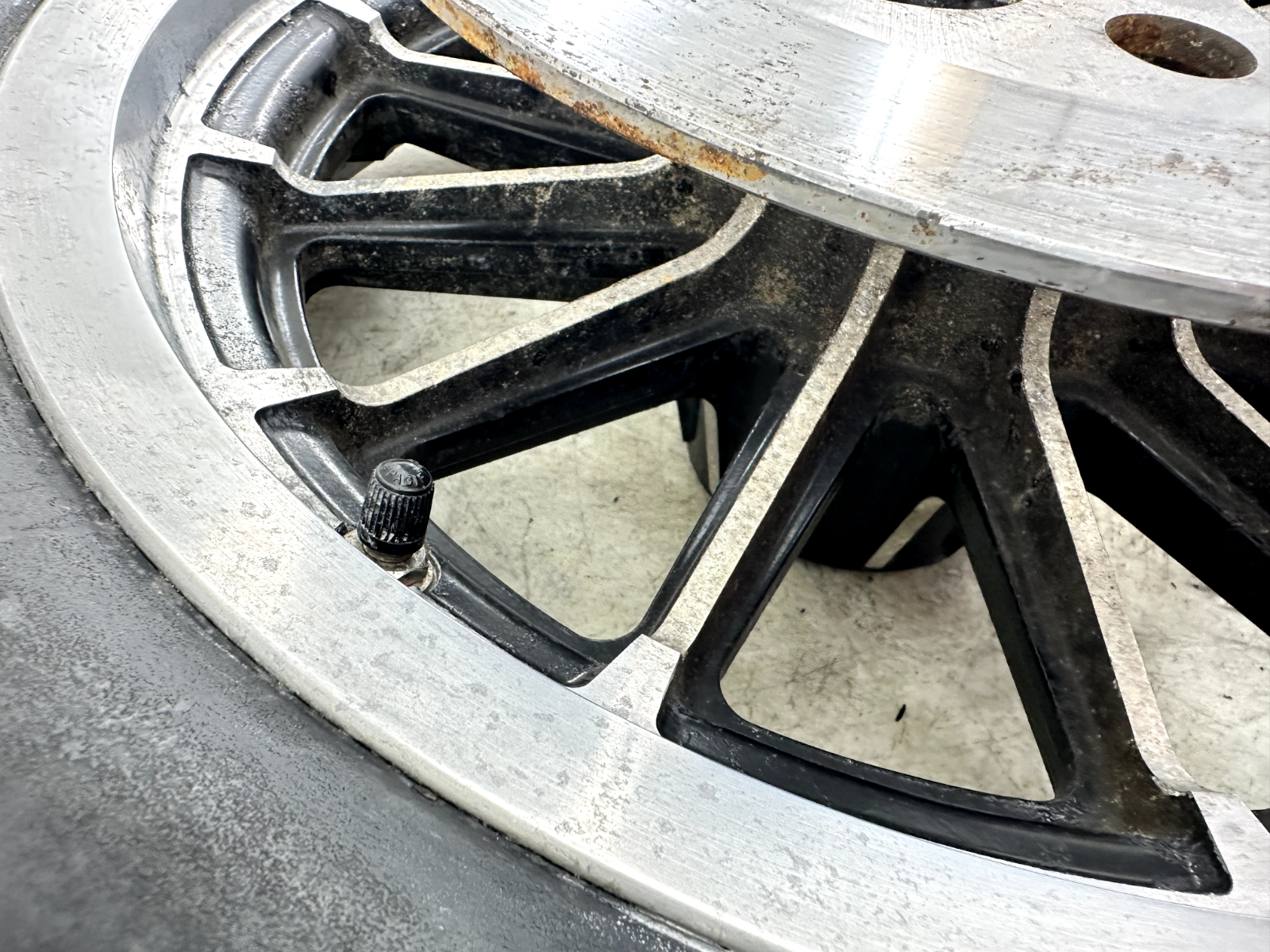 1997 HARLEY DYNA 13 Spoke 16" Rear Mag Wheel Rim + Rotor