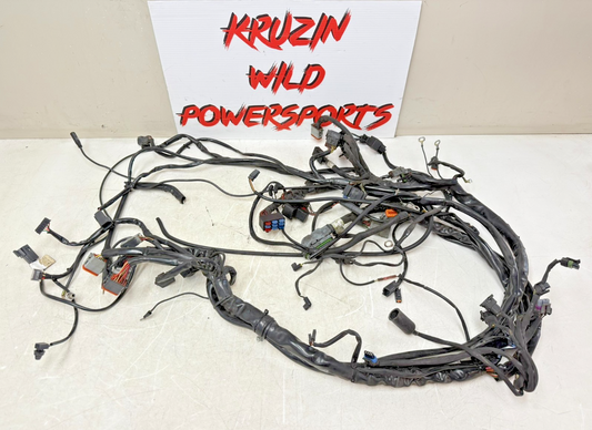 2003 HARLEY ELECTRA GLIDE Main Wire Wiring Harness Loom