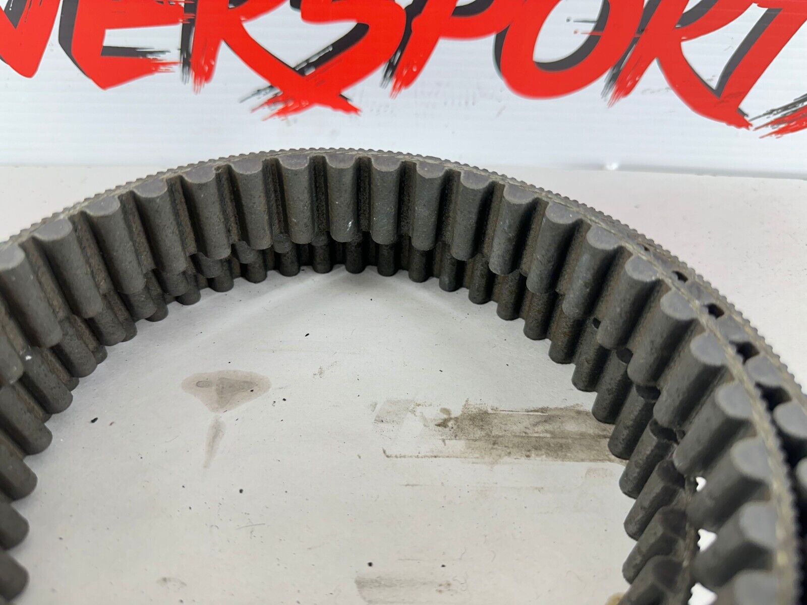 2003 Harley Davidson Sportster Final Drive Belt