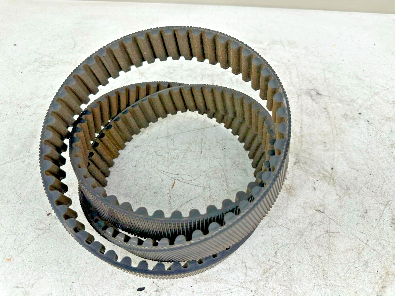 1996 HARLEY FLH ROADKING TOURING Rear Wheel Final Drive Belt