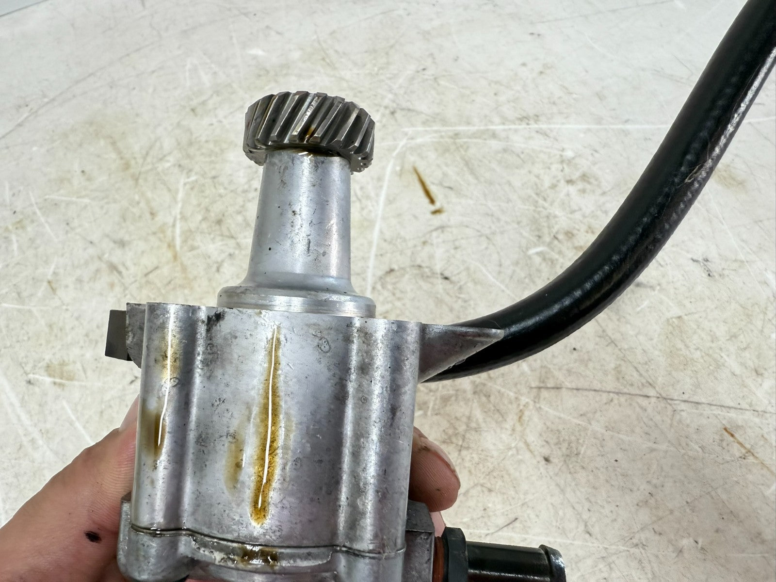 2003 Harley Davidson Sportster Engine Motor Oil Pump & Hose Line