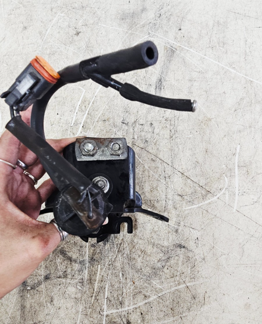 2001 Harley Davidson Sportster Upper Front Motor Mount Bracket