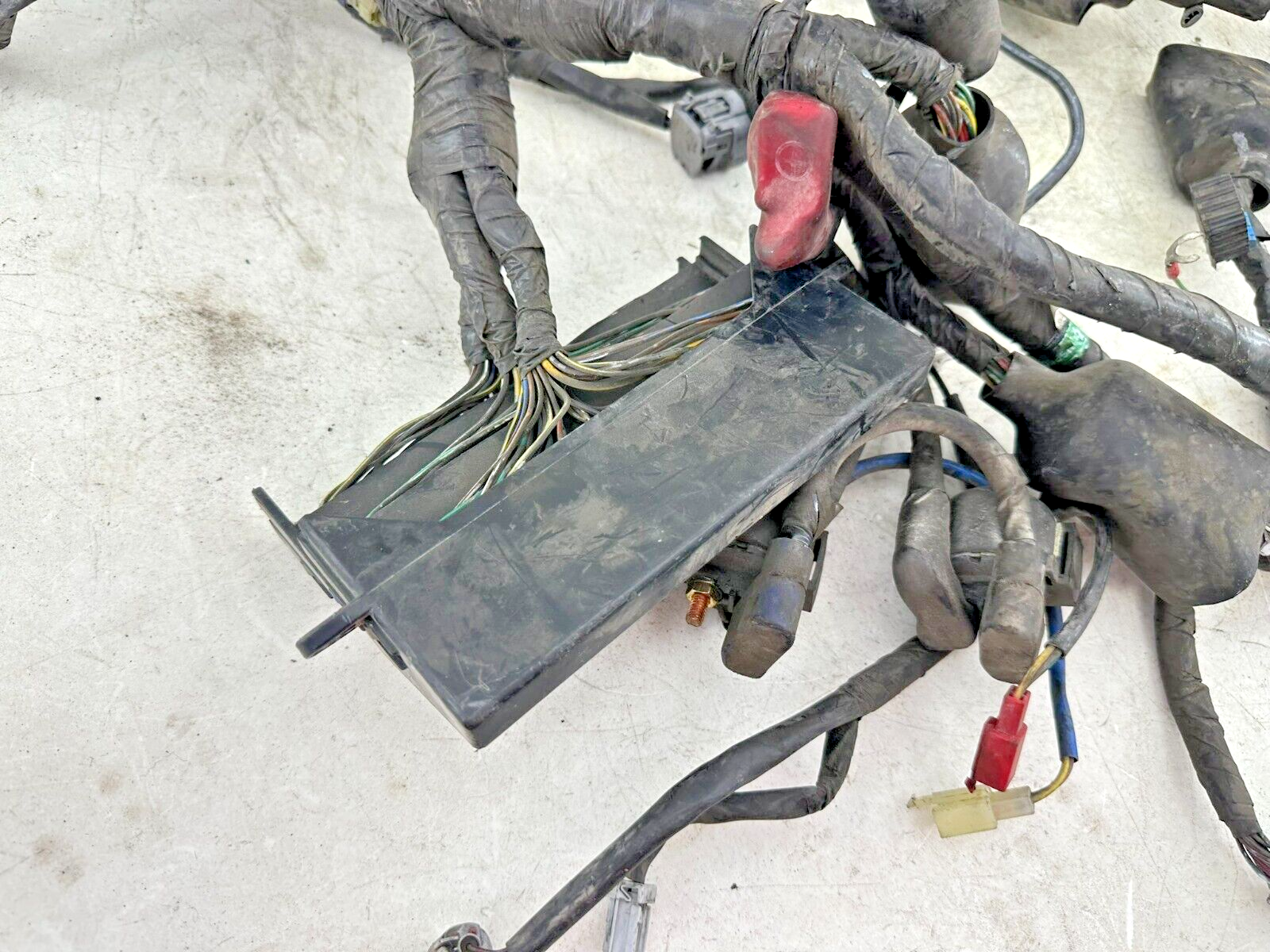 2004 Honda Goldwing GL1800 Main Wire Wiring Harness Loom Complete Un-Cut