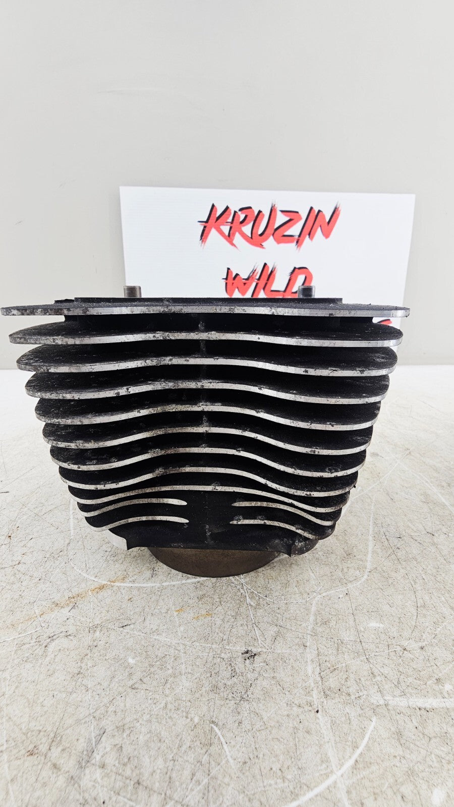 2000 HARLEY FLH ROADKING Engine Motor Cylinders Jugs Cylinder