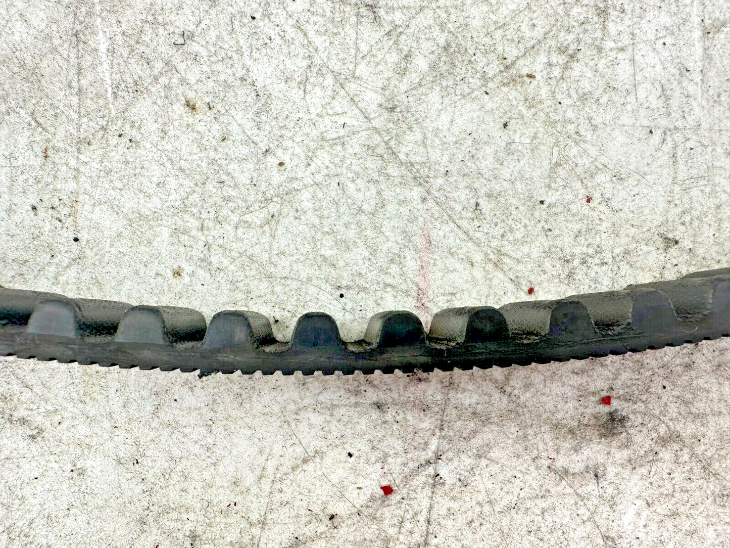 2001 HARLEY SOFTAIL 135 Tooth 1 1/8" Wide Final Drive Belt