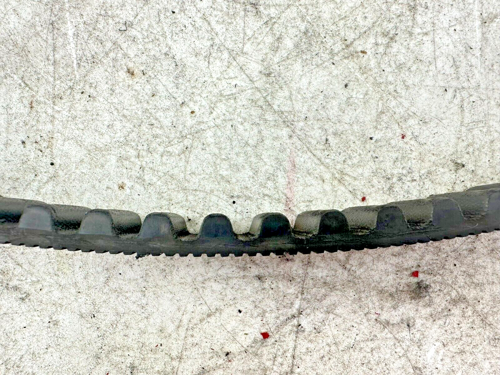 2001 HARLEY SOFTAIL 135 Tooth 1 1/8" Wide Final Drive Belt