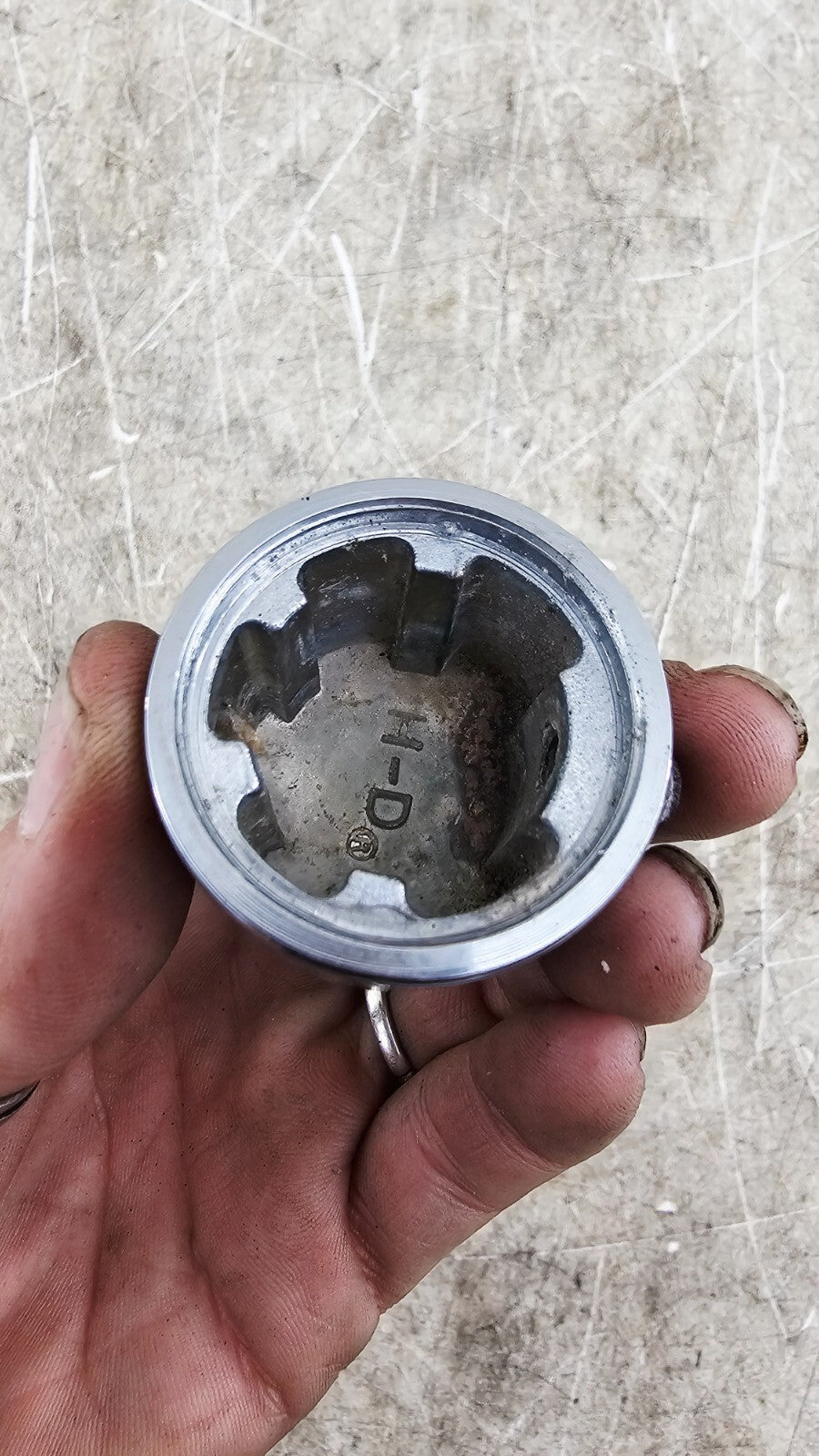 2000 Harley Davidson Sportster Cylinder Head Mount Bolt Covers