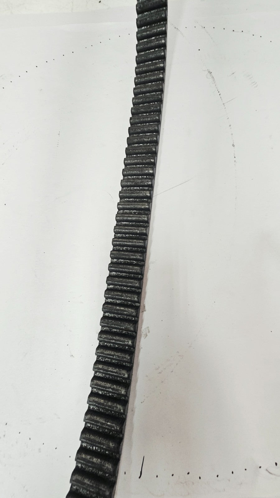 1995 HARLEY SOFTAIL FATBOY OEM Final Drive Belt 1-1/2" W 130 Teeth