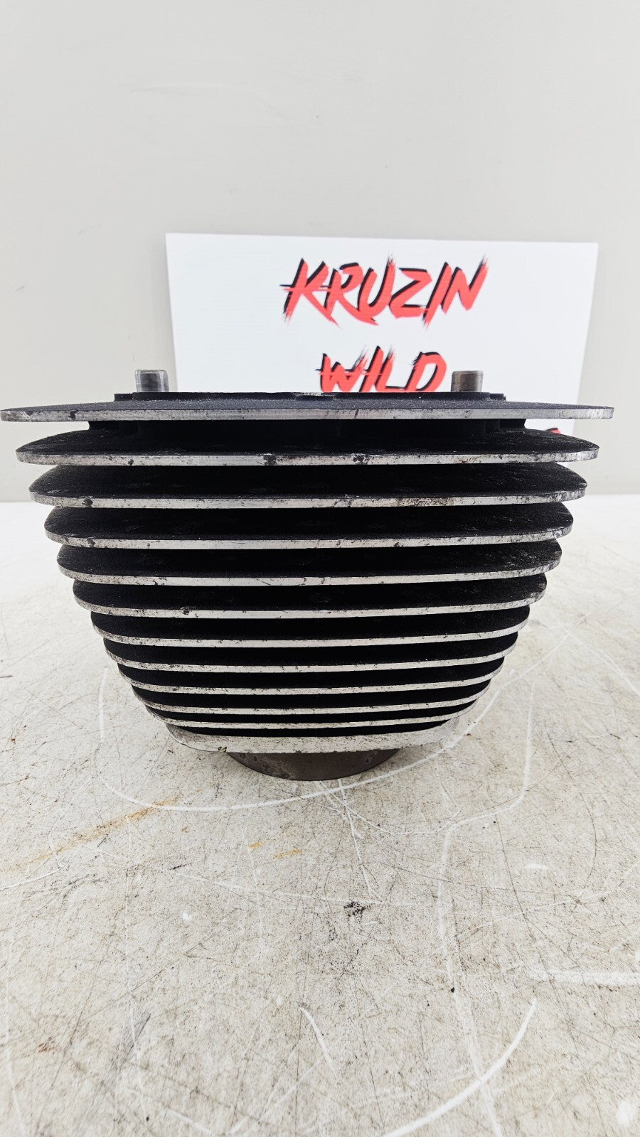 2000 HARLEY FLH ROADKING Engine Motor Cylinders Jugs Cylinder