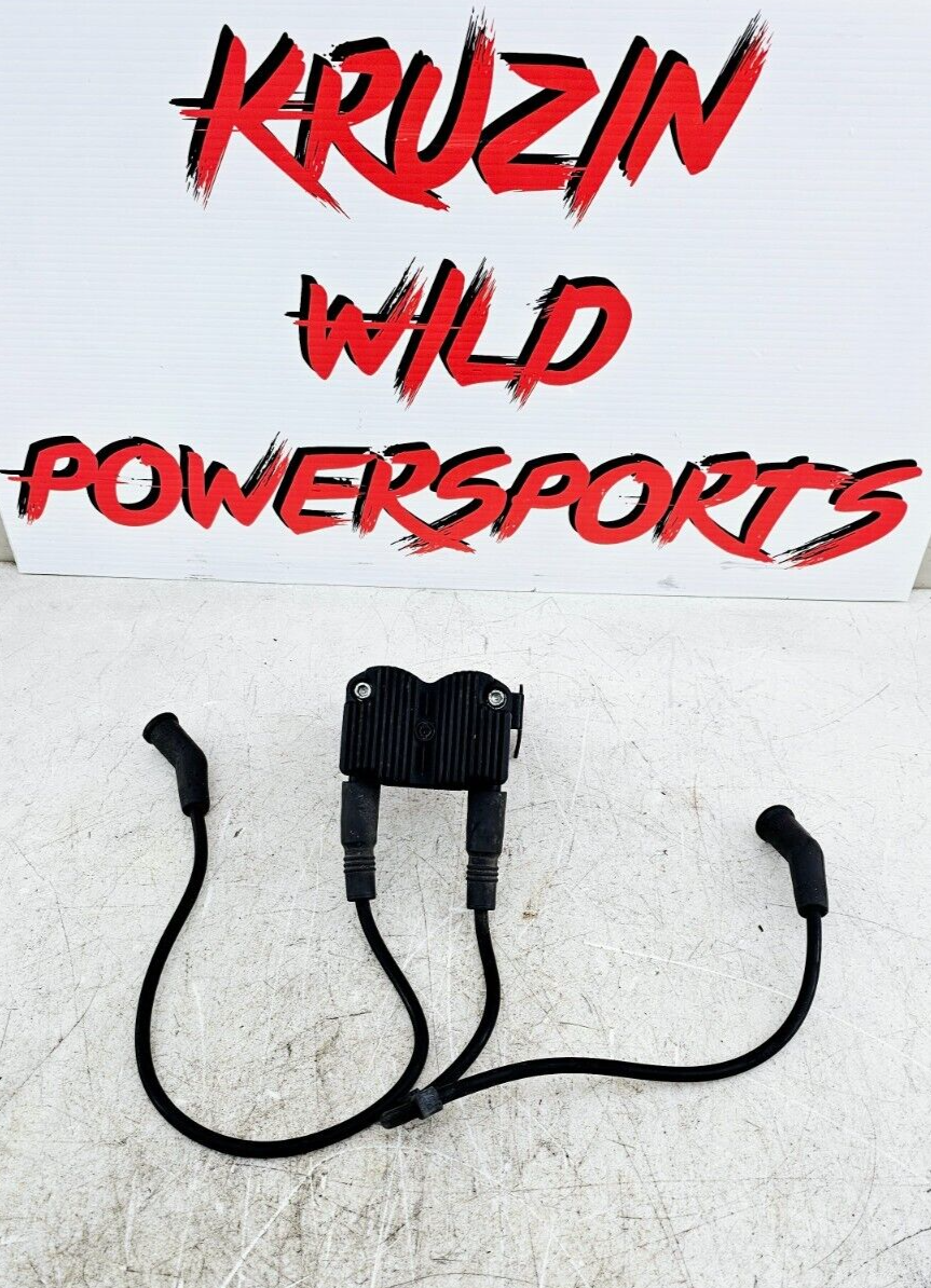 2002 HARLEY ELECTRA GLIDE Ignition Coil & Spark Plug Wires