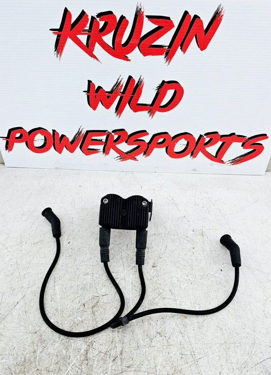 2002 HARLEY ELECTRA GLIDE Ignition Coil & Spark Plug Wires