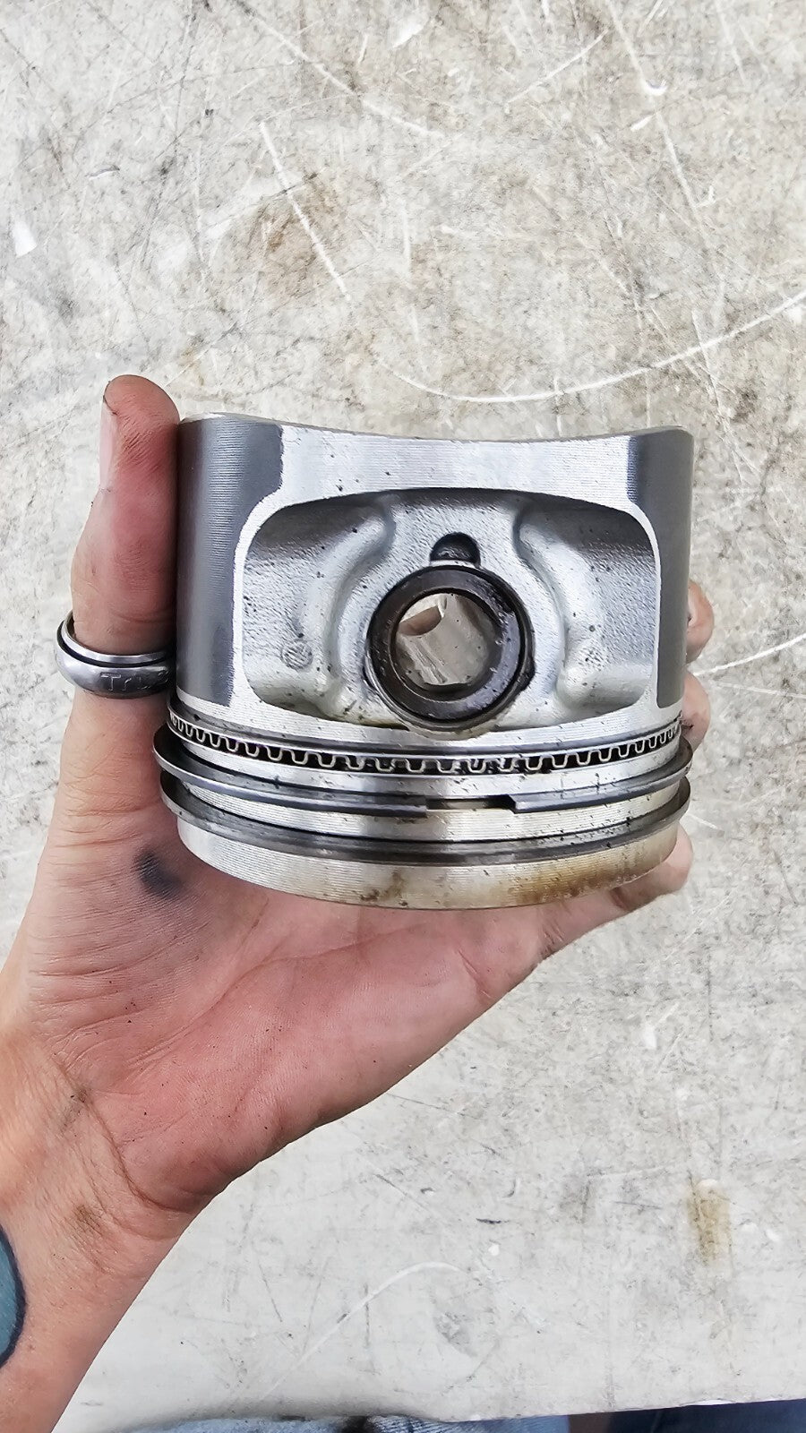 2000 Harley Davidson Sportster 883 Engine Motor Cylinders Barrels + Pistons