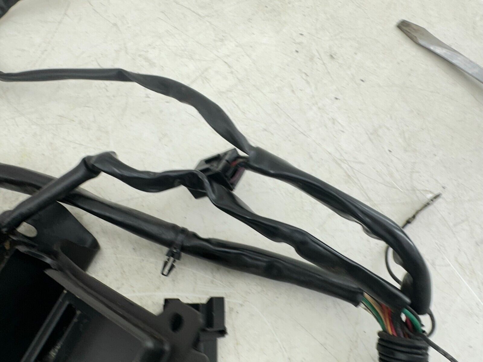 1999 HARLEY SOFTAIL OEM HD Main Wire Wiring Harness Loom