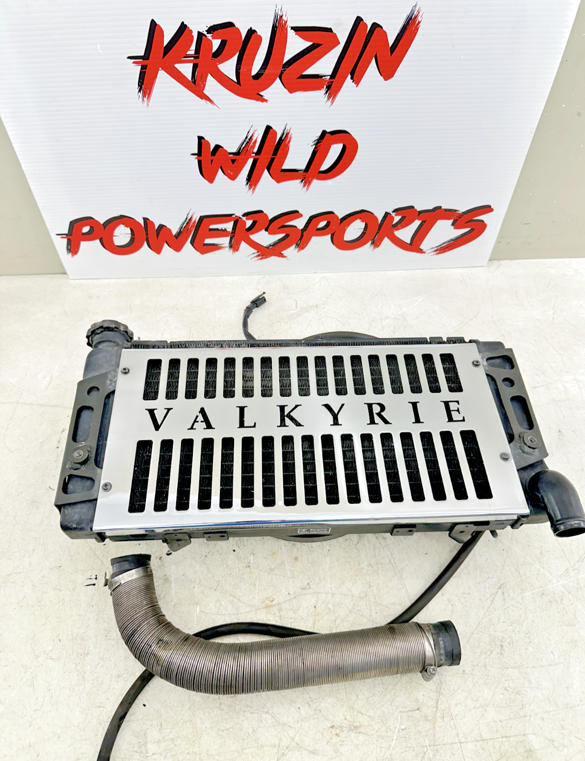 1999 HONDA VALKYRIE INTERSTATE Radiator + Chrome Grill Guard