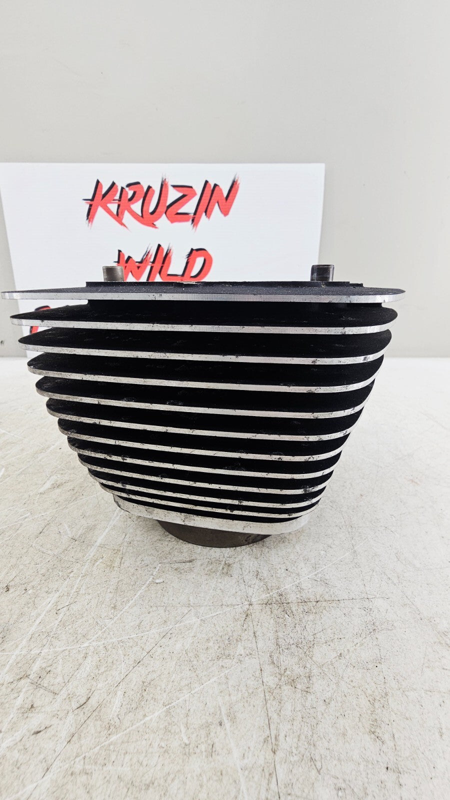 2000 HARLEY FLH ROADKING Engine Motor Cylinders Jugs Cylinder