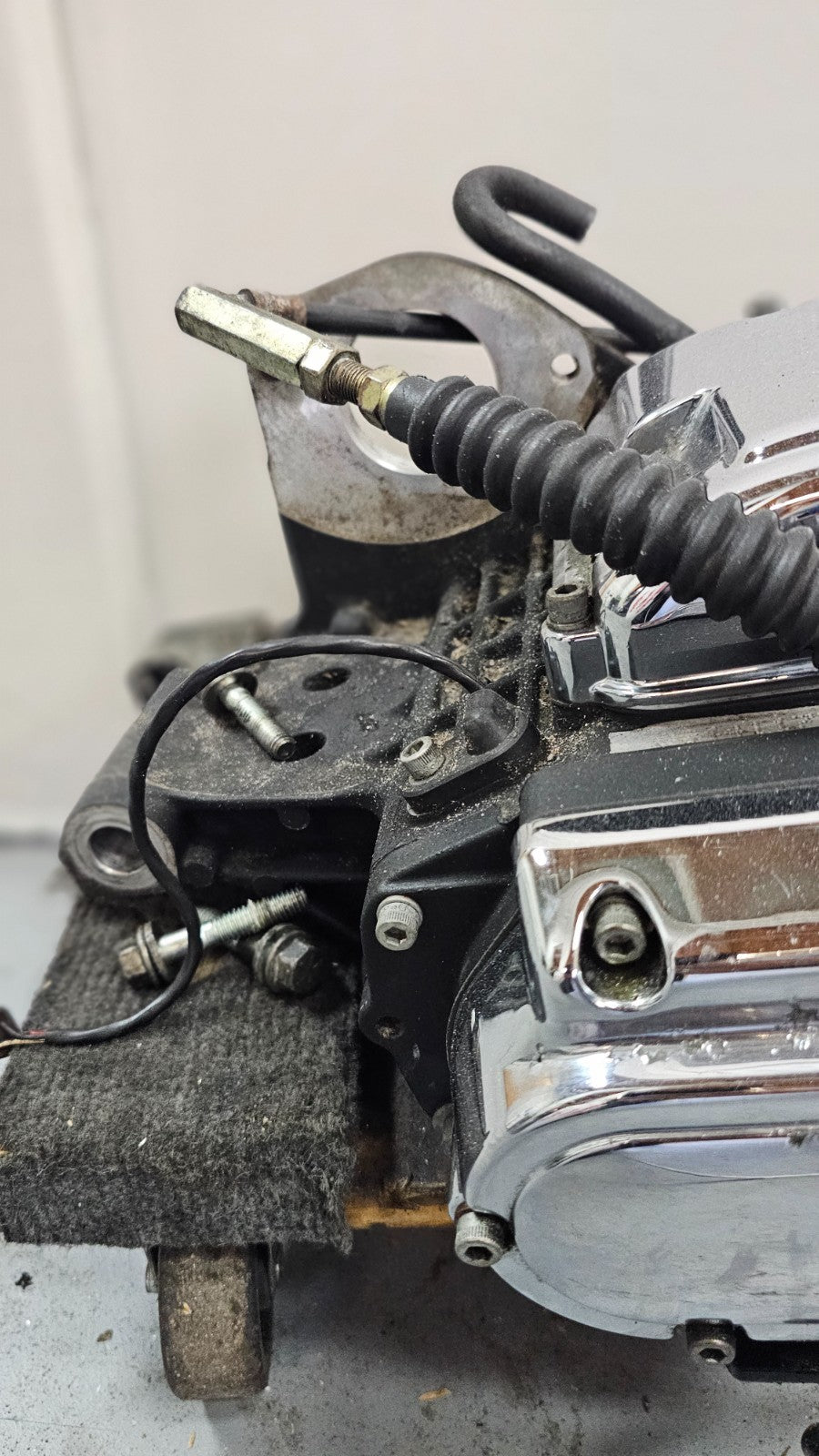 2000 HARLEY SOFTAIL DEUCE Transmission Gear Box OEM HD