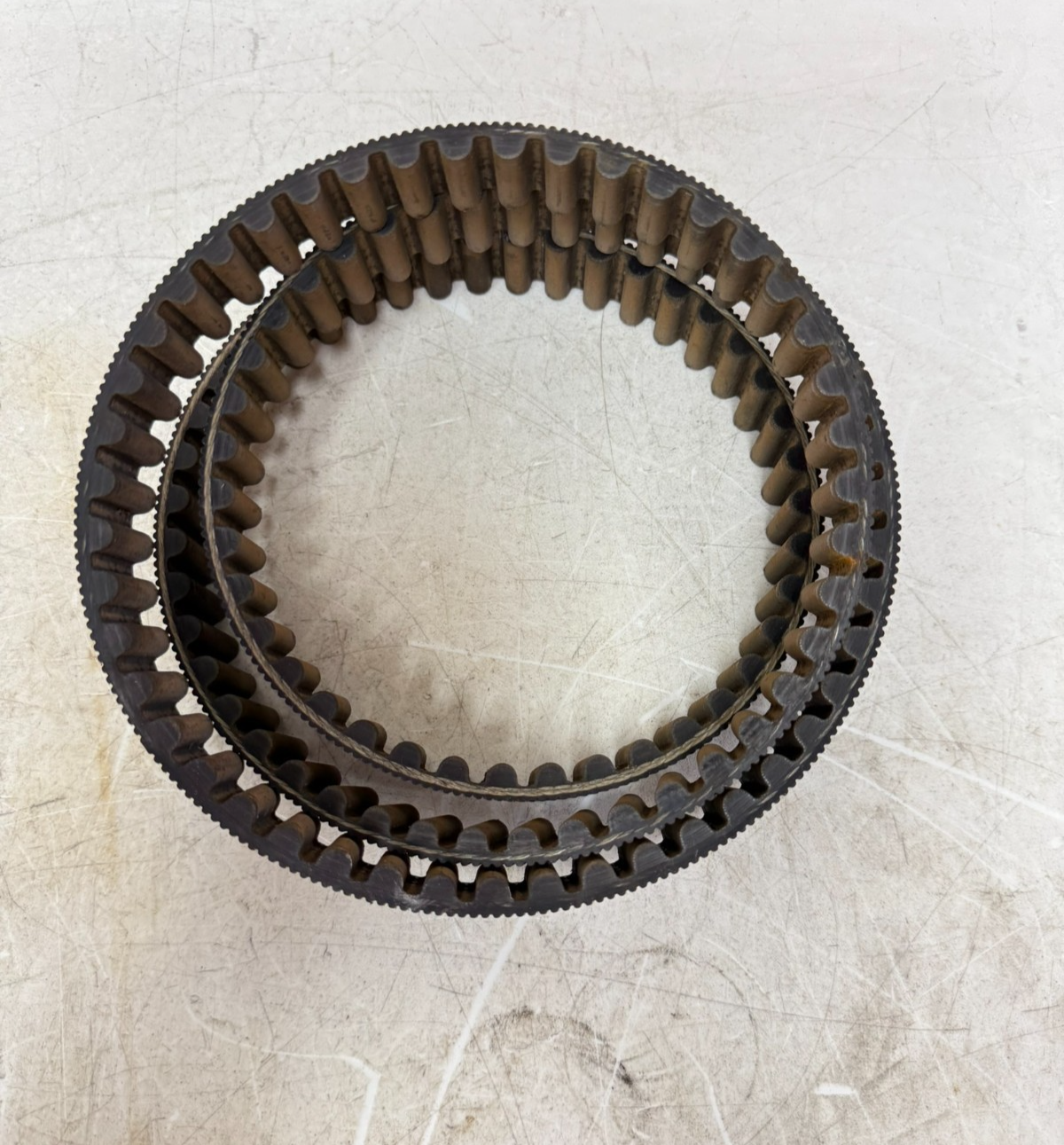 2003 Harley Davidson Sportster OEM HD Final Drive Belt