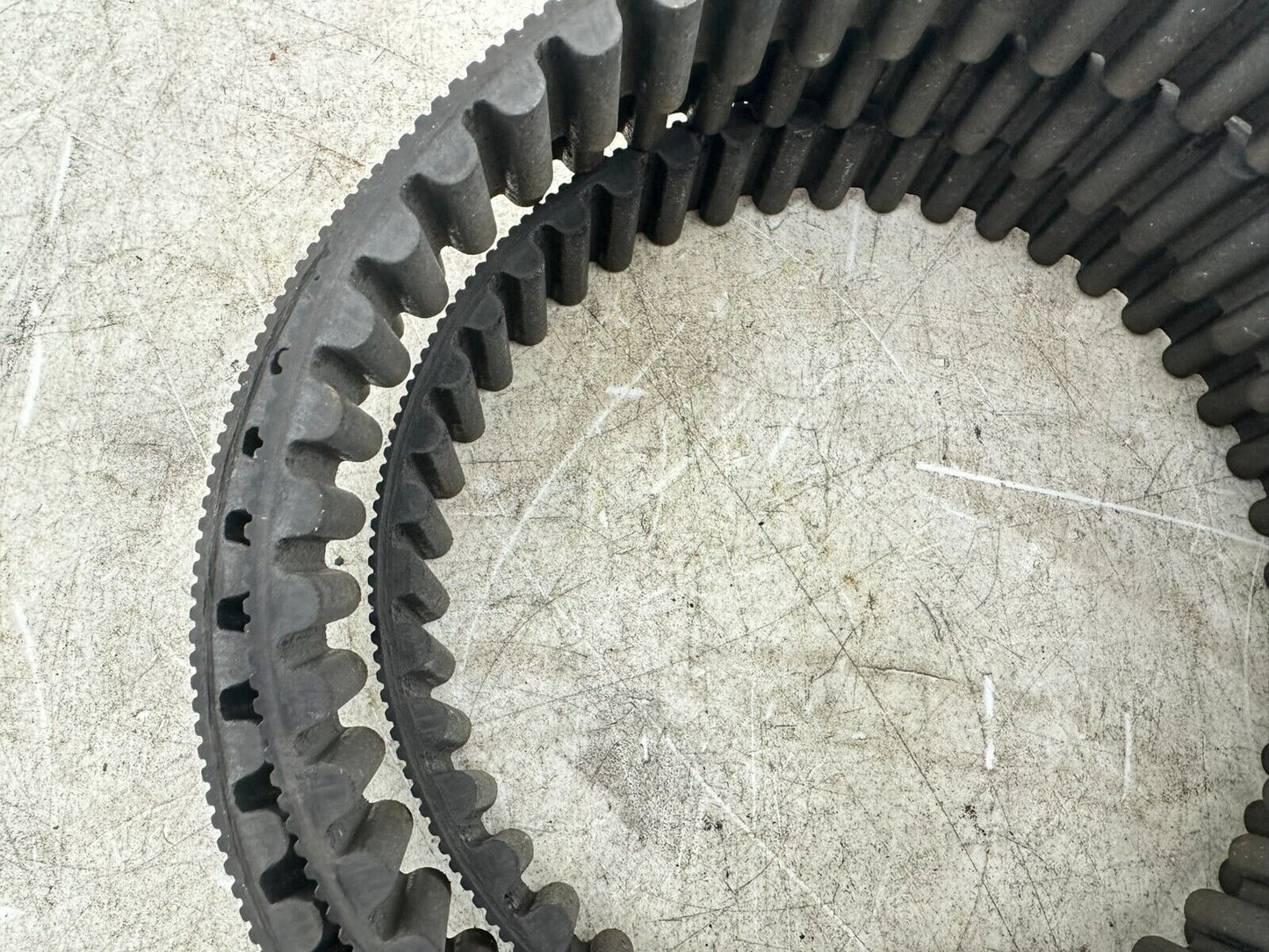 2002 HARLEY SOFTAIL 135 Tooth 1 1/8" Wide Final Drive Belt