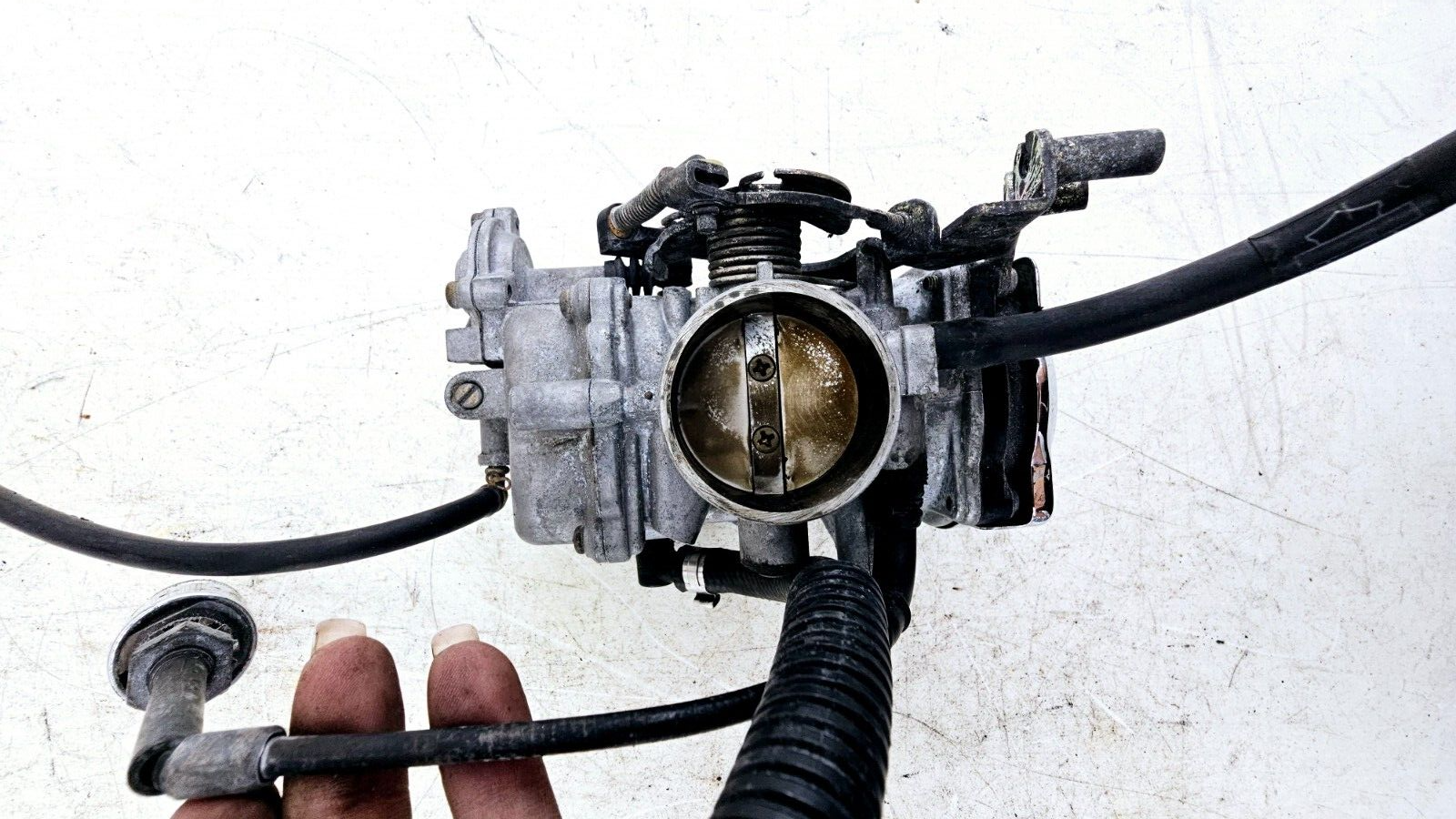 1997 HARLEY SOFTAIL Carburetor Carb Carburator Works! See Video