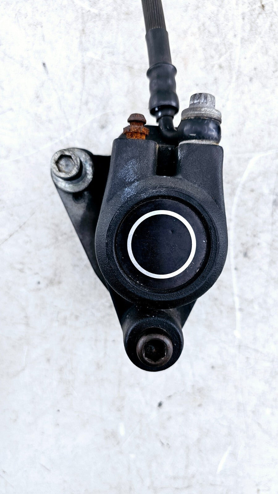 1999 HARLEY SOFTAIL Brake Master Cylinder Braided Hose Caliper