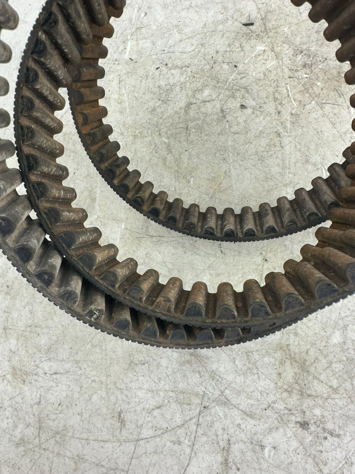 1995 HARLEY SOFTAIL 130 Tooth 1 1/2 Wide Final Drive Belt