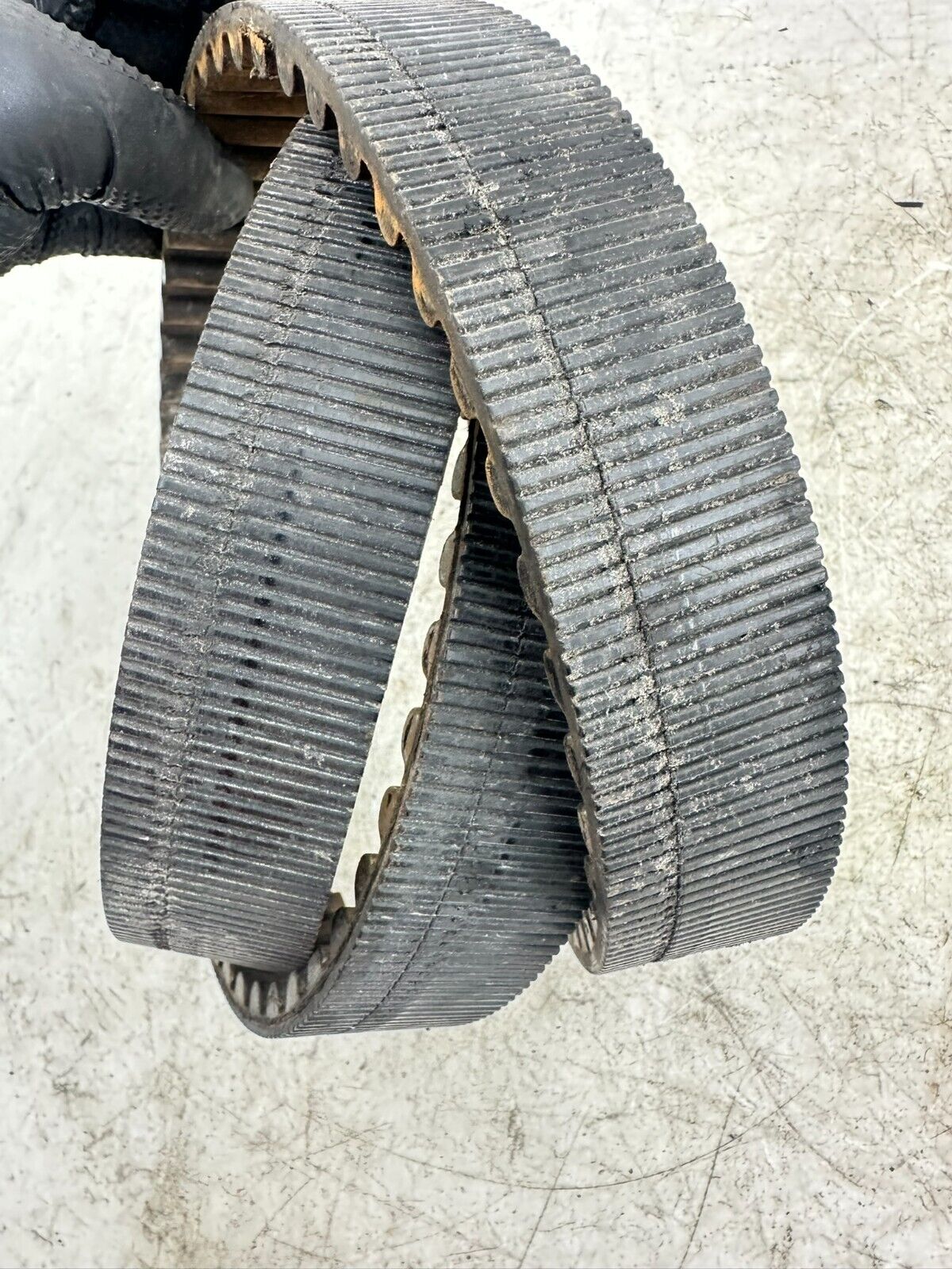 1995 HARLEY SOFTAIL 130 Tooth 1 1/2 Wide Final Drive Belt