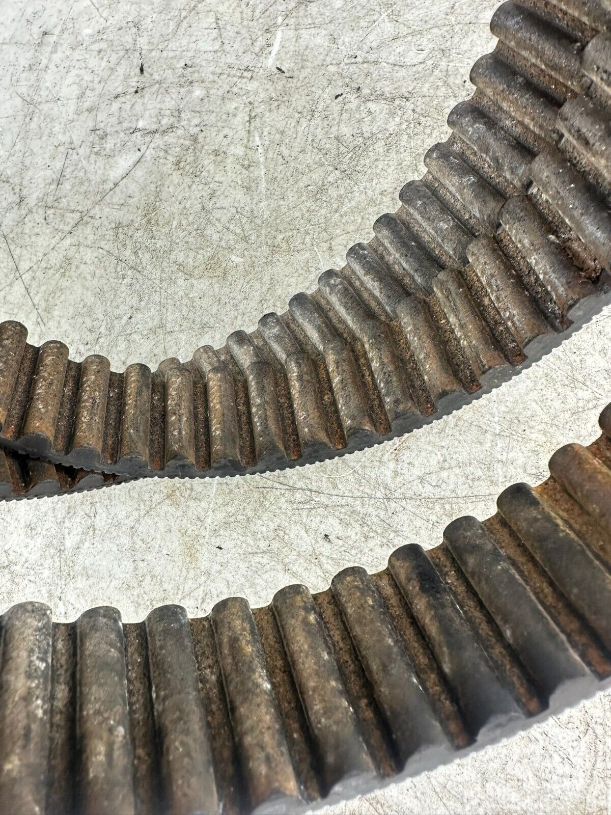 1995 HARLEY SOFTAIL 130 Tooth 1 1/2 Wide Final Drive Belt