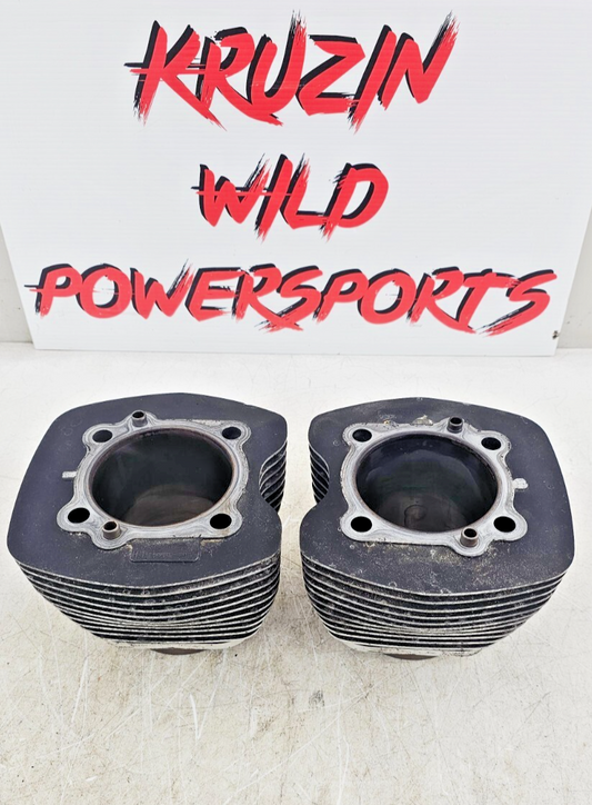 2000 HARLEY FLH ROADKING Engine Motor Cylinders Jugs Cylinder