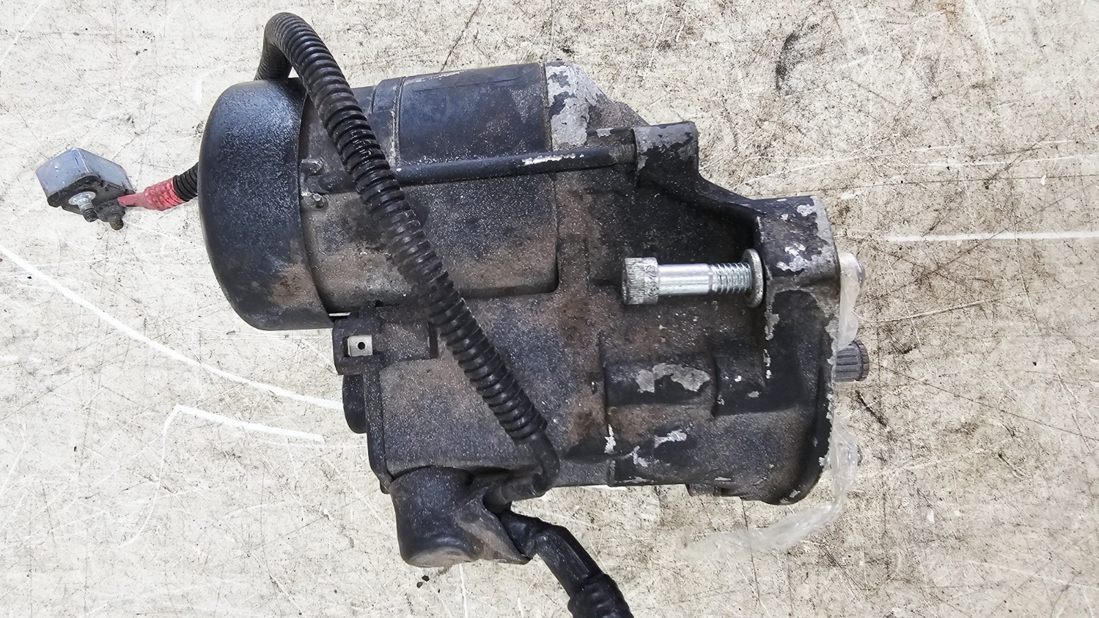 1999 HARLEY SOFTAIL Engine Starter Motor OEM HD