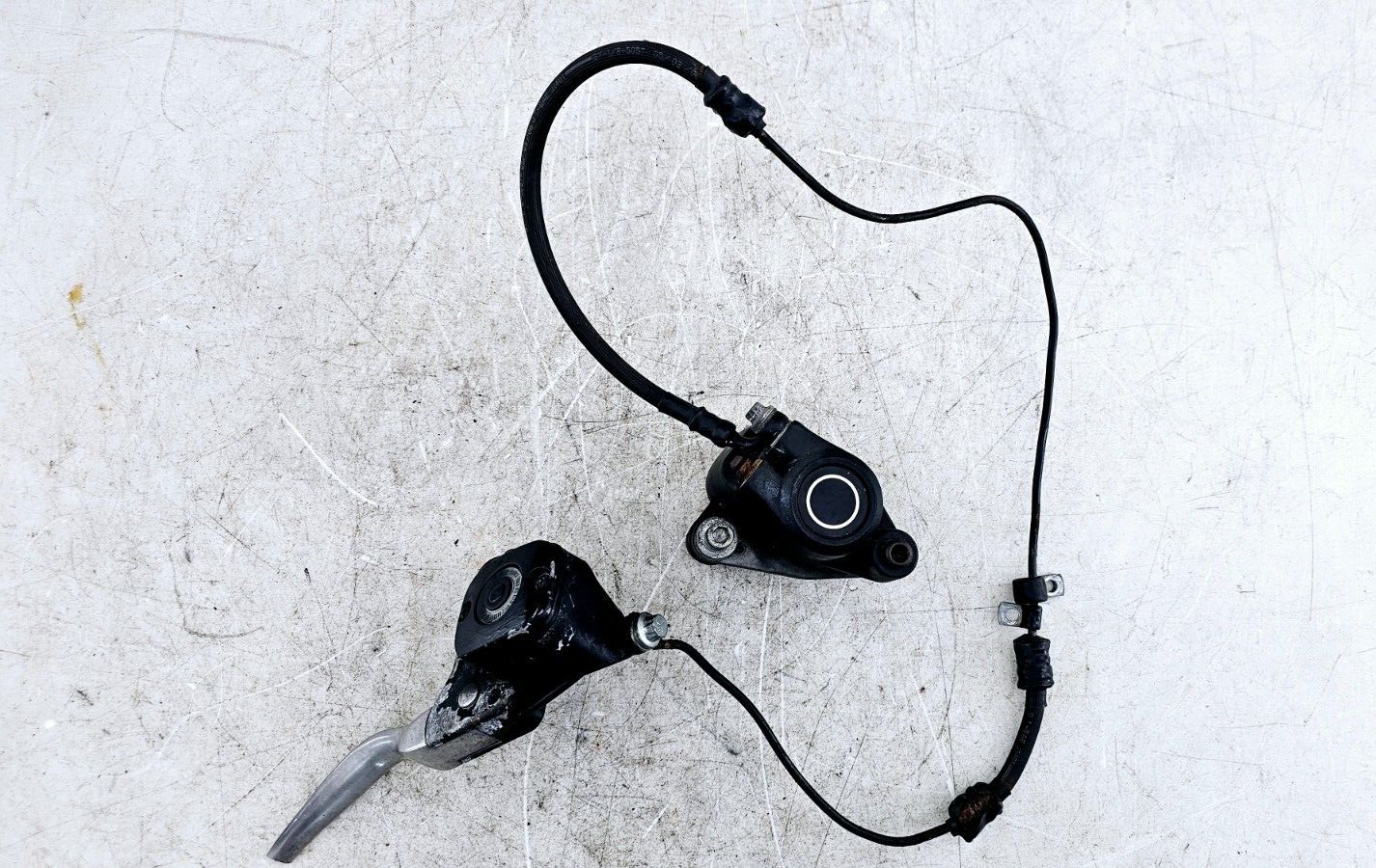 1999 HARLEY SOFTAIL Brake Master Cylinder Braided Hose Caliper