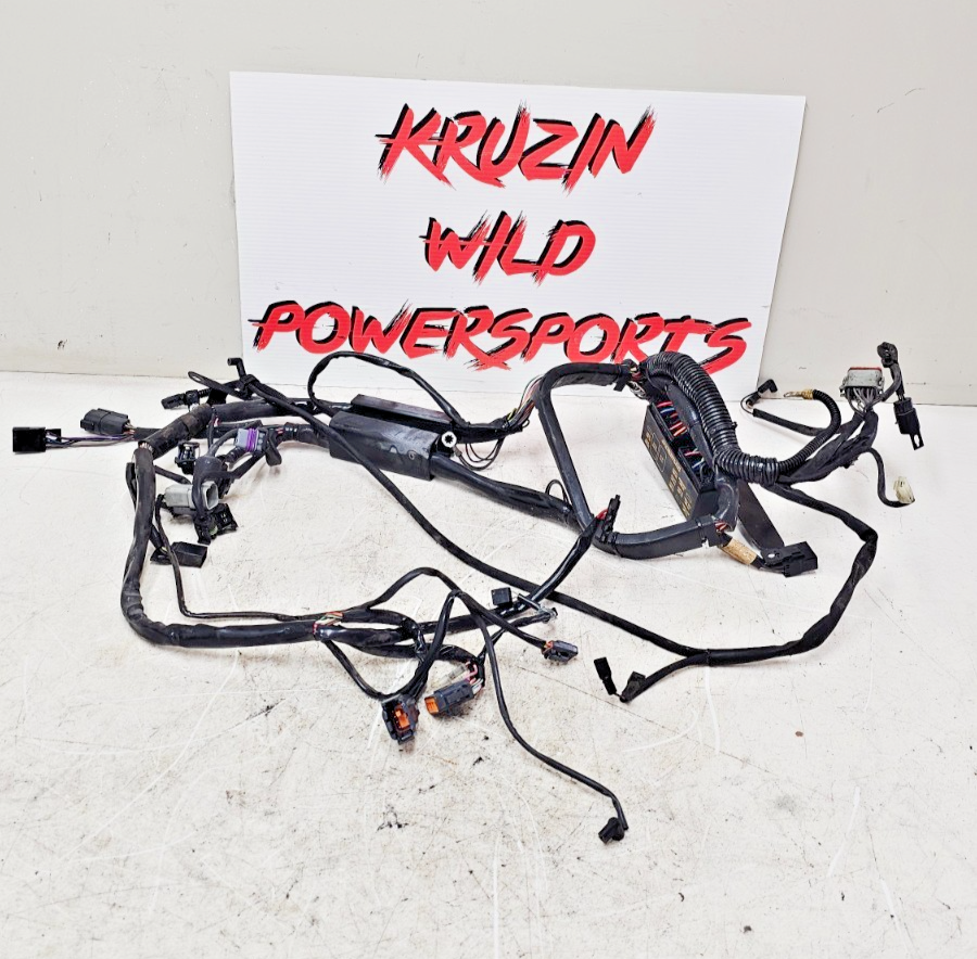 2002 HARLEY SOFTAIL Main Wire Wiring Harness Loom Fuse Box