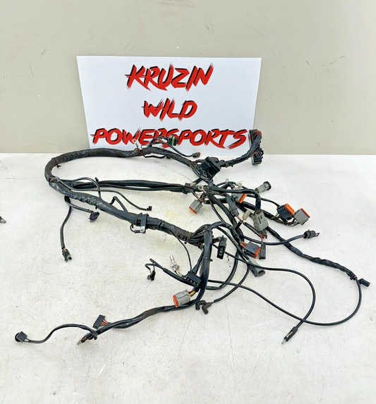 2003 HARLEY ELECTRA GLIDE classic Main Wire Wiring + Radio Stereo Harness Loom
