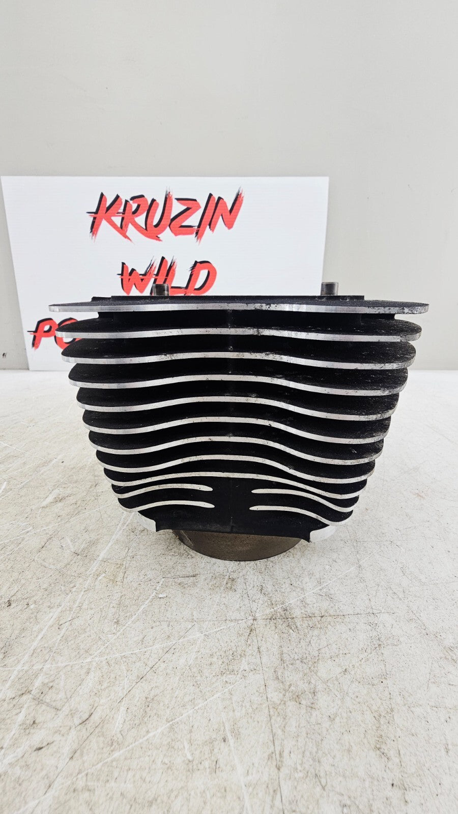 2000 HARLEY FLH ROADKING Engine Motor Cylinders Jugs Cylinder