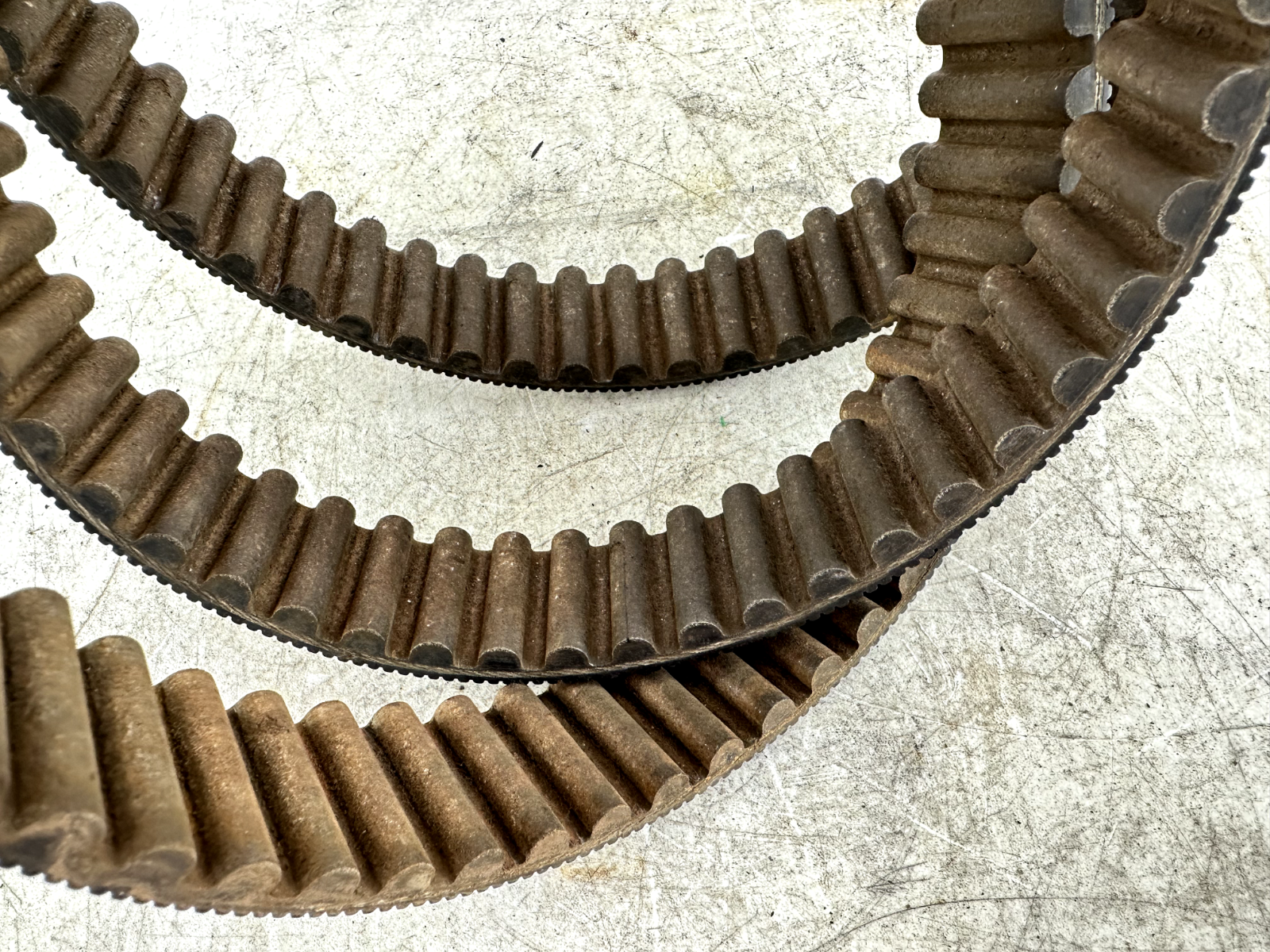 1997 HARLEY DYNA 133 Tooth 1/2 Wide Final Drive Belt OEM