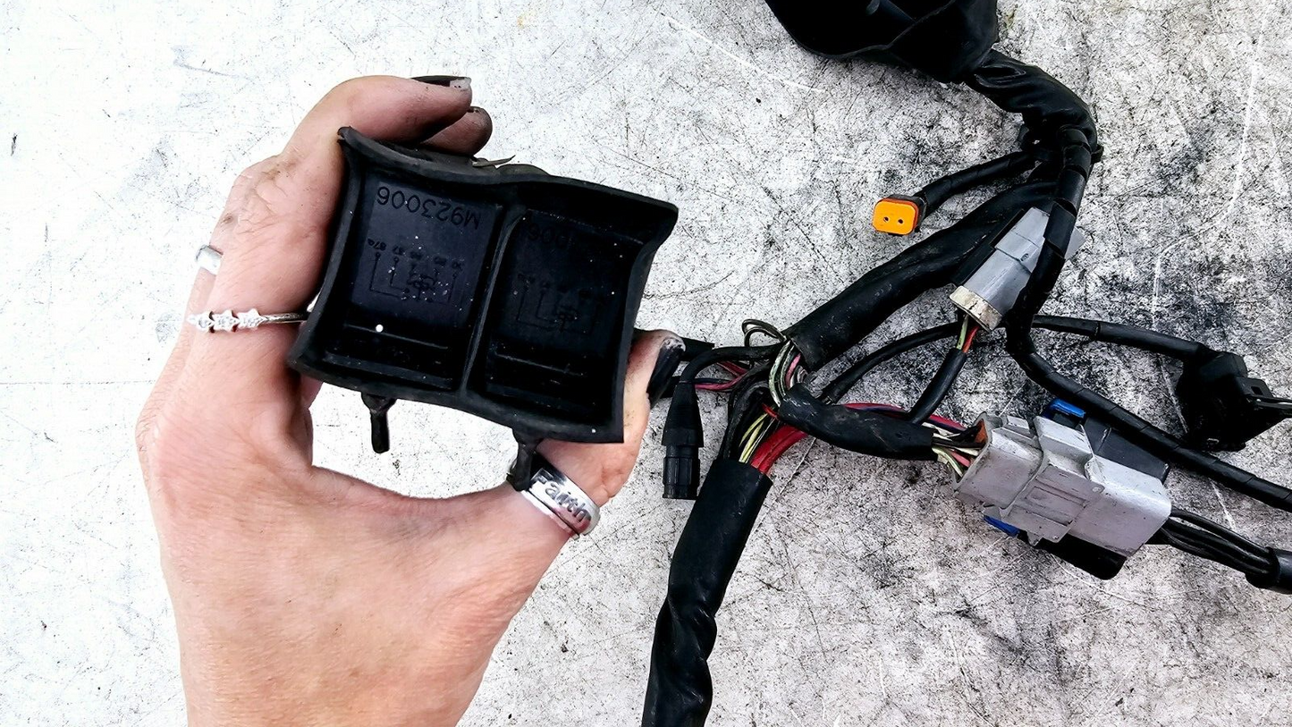 1998 HARLEY FLH ROADKING Main Wiring Wire Harness Loom Fuse Relay