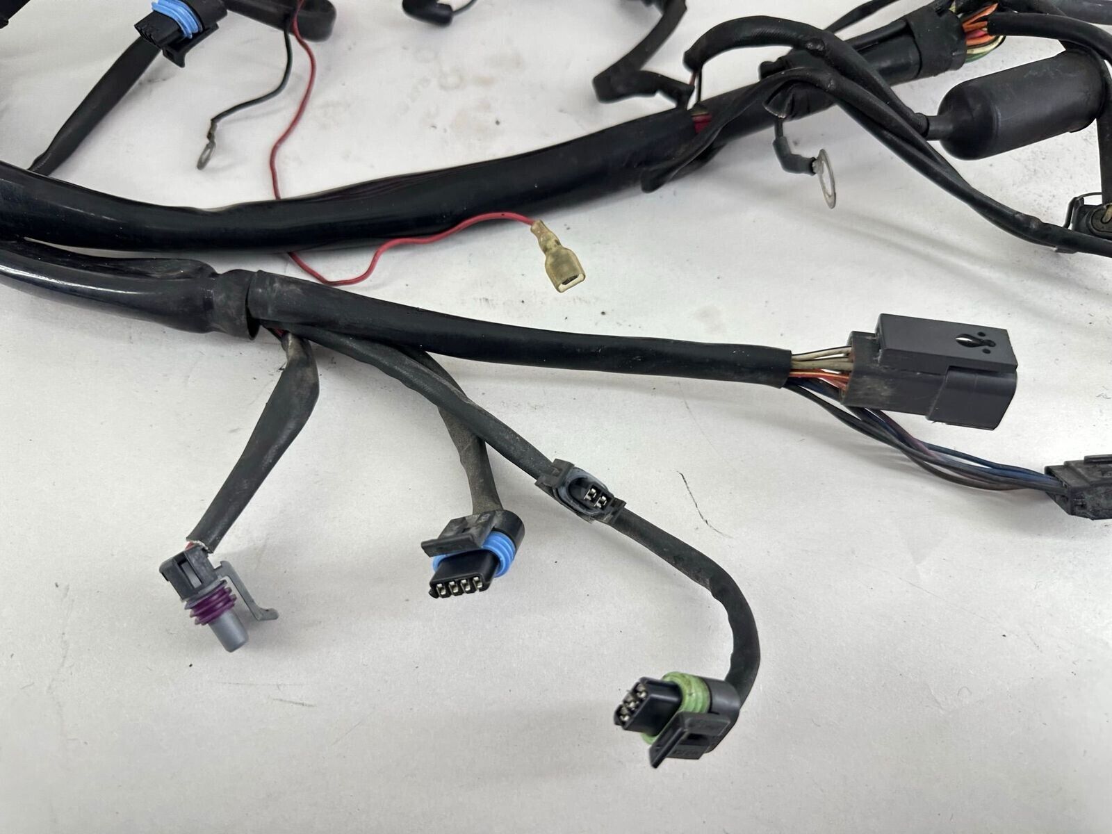 2003 HARLEY SOFTAIL Main Wiring Harness Loom + Fuse + Relay