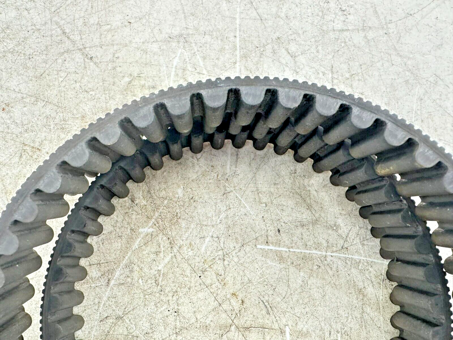 2002 HARLEY SOFTAIL 135 Tooth 1 1/8" Wide Final Drive Belt