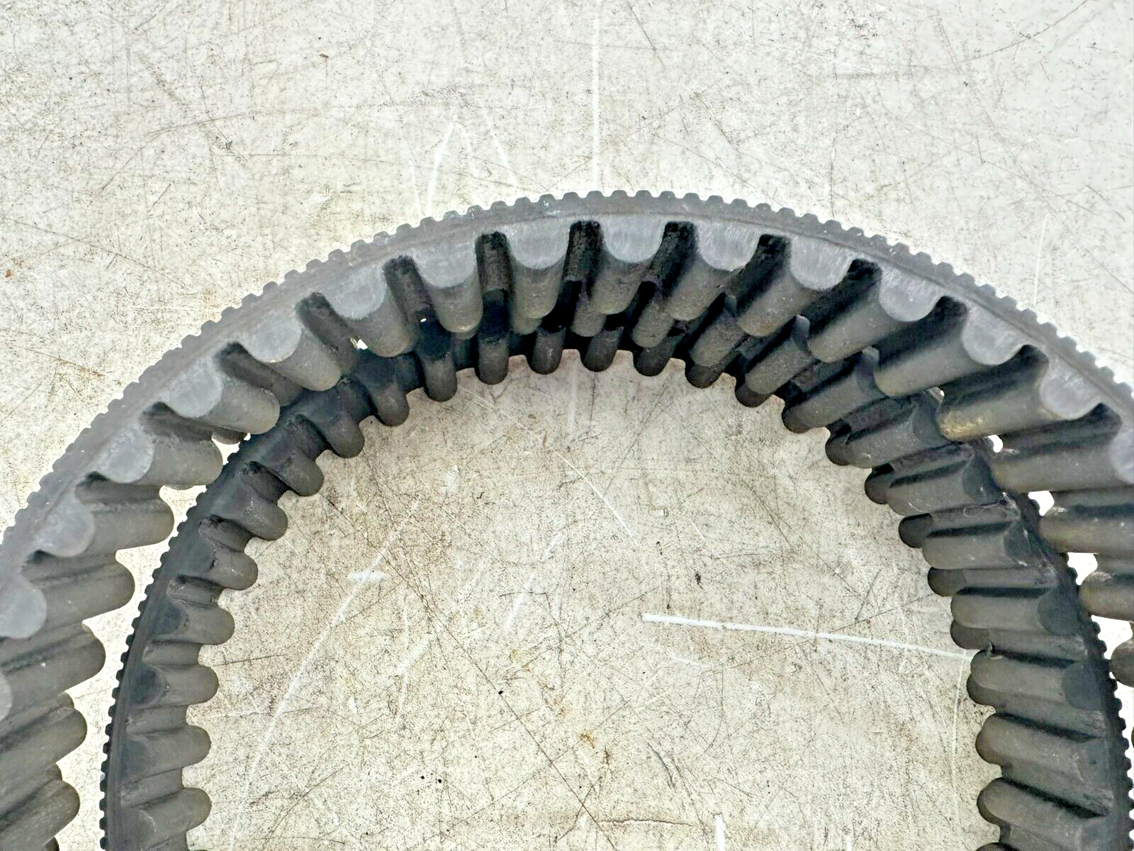 2002 HARLEY SOFTAIL 135 Tooth 1 1/8" Wide Final Drive Belt