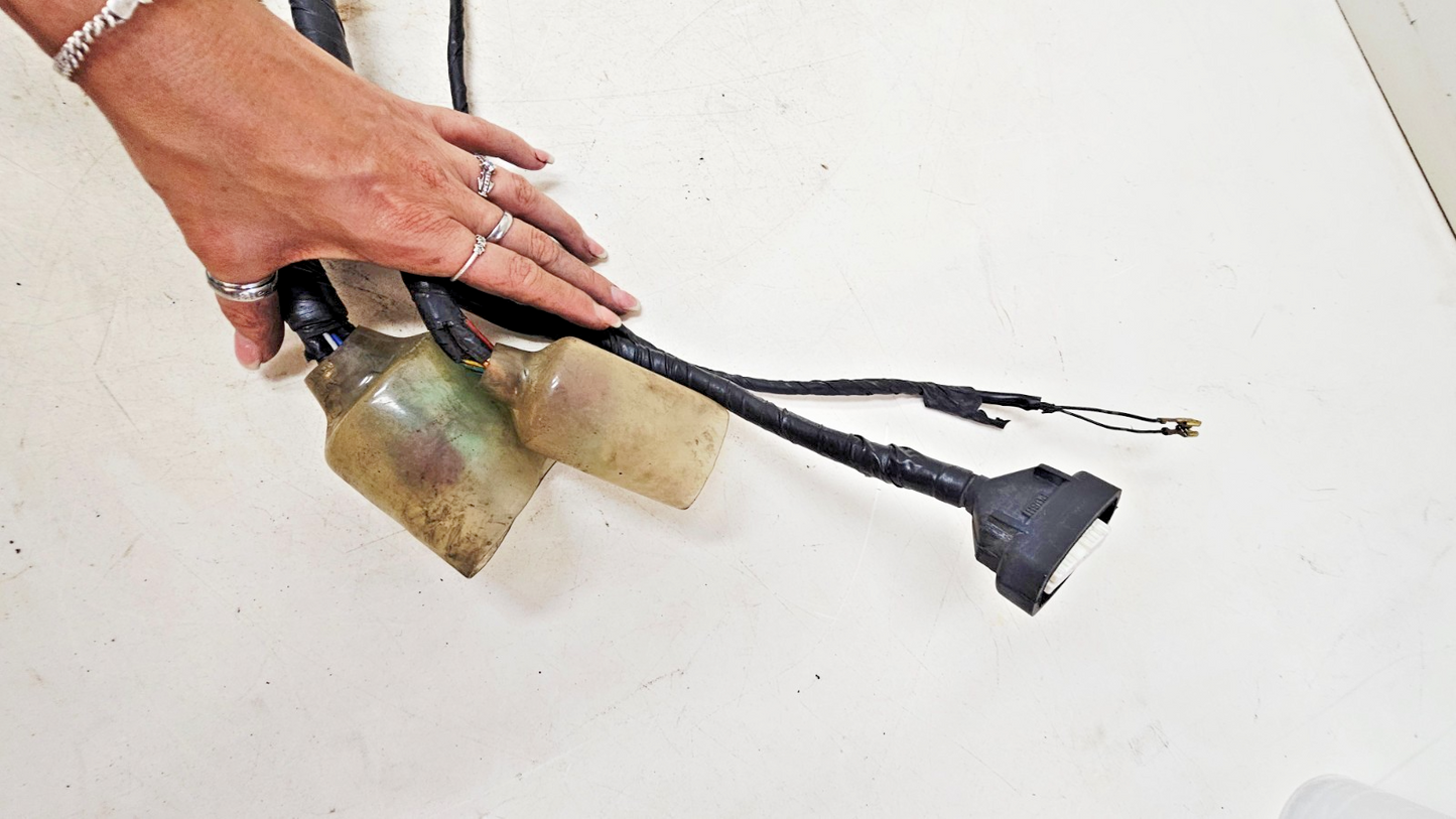 2000 HONDA VALKYRIE INTERSTATE Main Wire Wiring Harness Loom