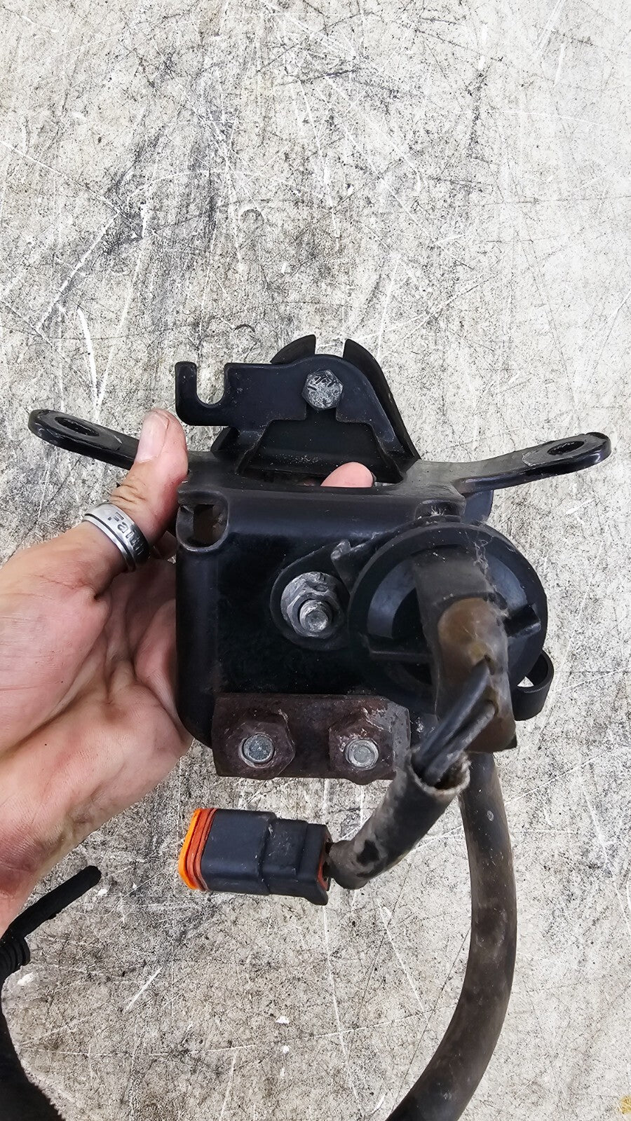 2000 Harley Davidson Sportster Upper Front Motor Mount Bracket + Bolts