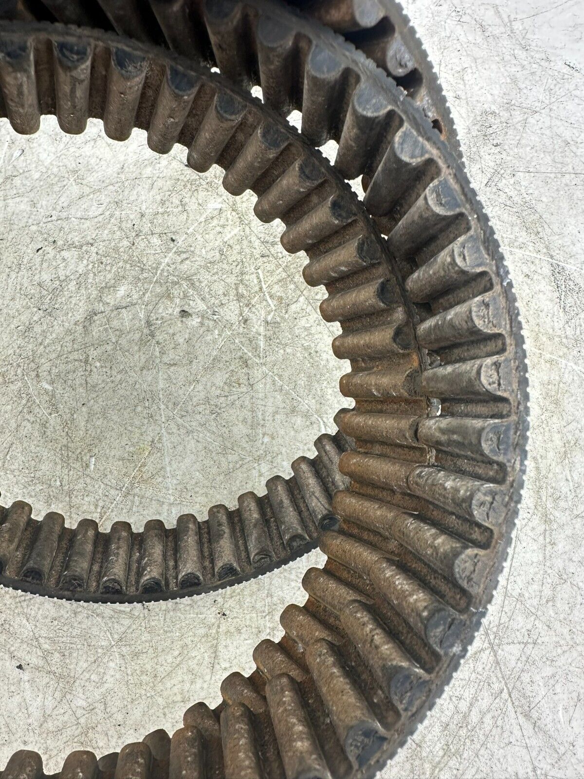 1995 HARLEY SOFTAIL 130 Tooth 1 1/2 Wide Final Drive Belt