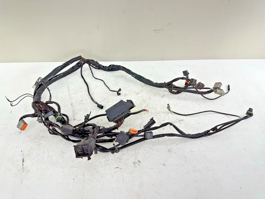 2004 HARLEY FLH ELECTRA GLIDE Complete Main Wiring Harness Loom Fuse Box OEM HD