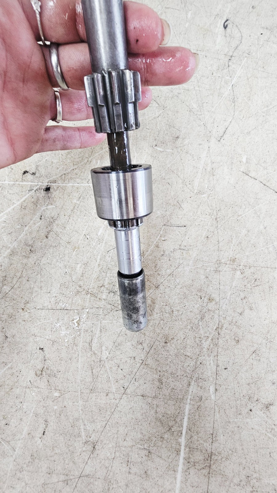 2000 HARLEY SOFTAIL DEUCE Primary Clutch Chain Compensator Jackshaft Gear