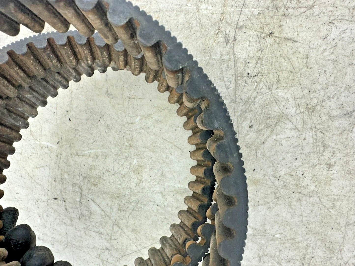 1995 HARLEY SOFTAIL 130 Tooth 1 1/2 Wide Final Drive Belt